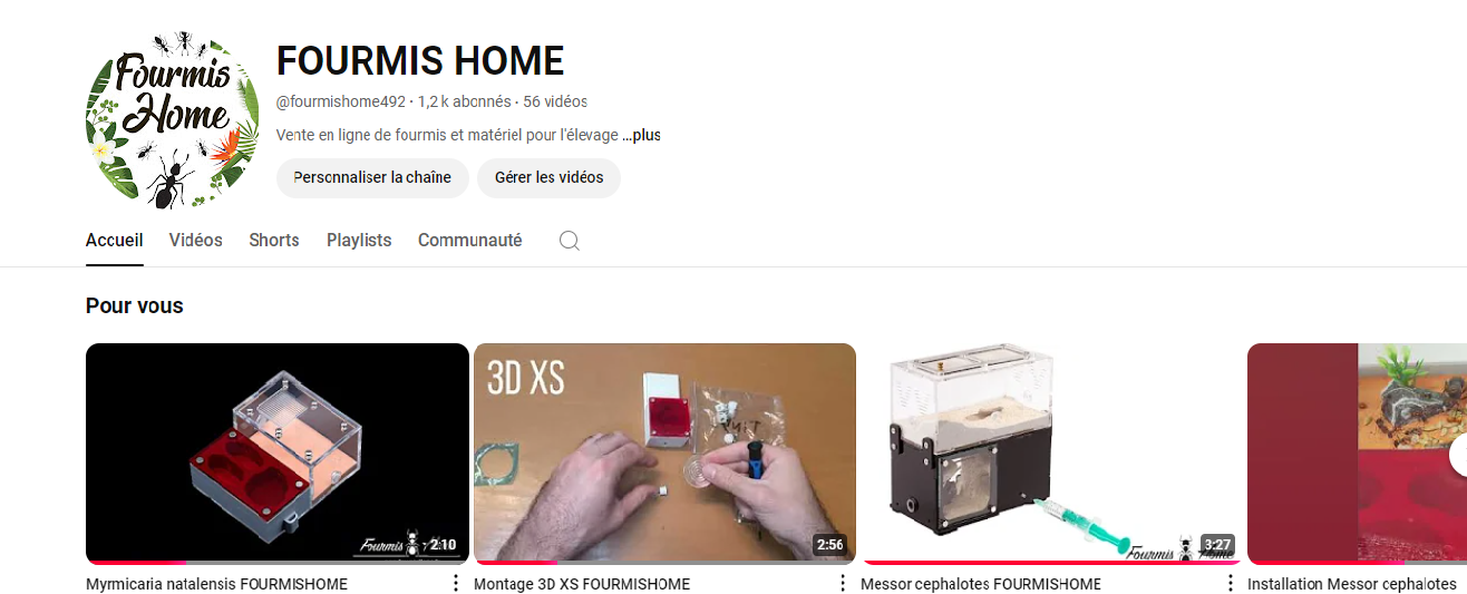 youtube fourmis