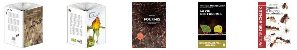 livre fourmi