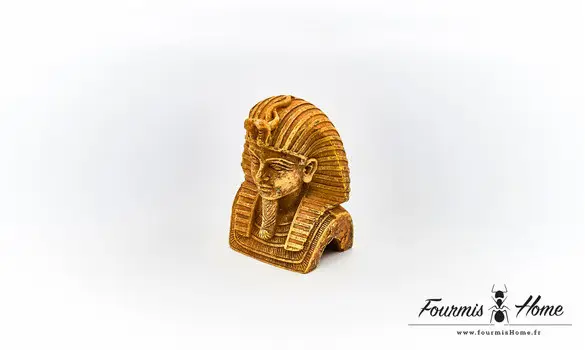 Pharaon