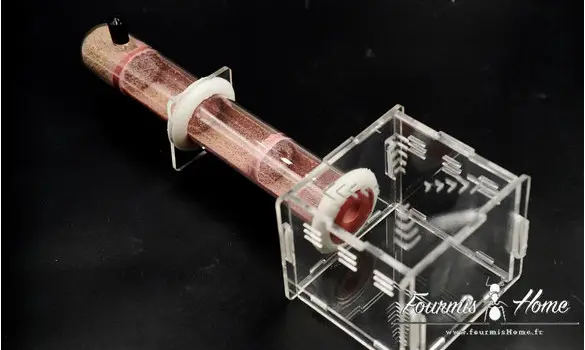 ADC plâtre 30x250mm