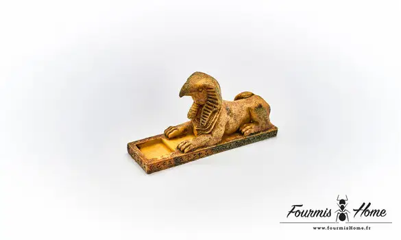 sphynx