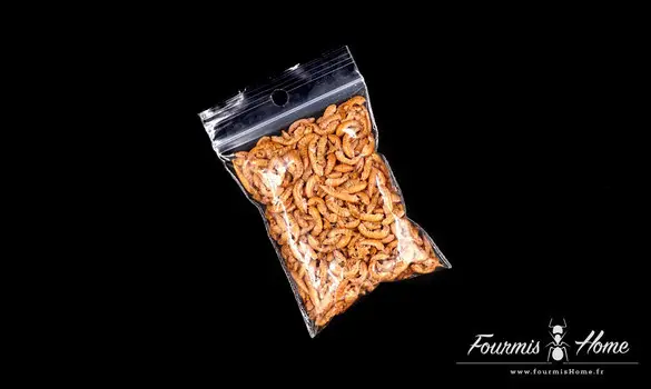 Gammarus lyophilisés