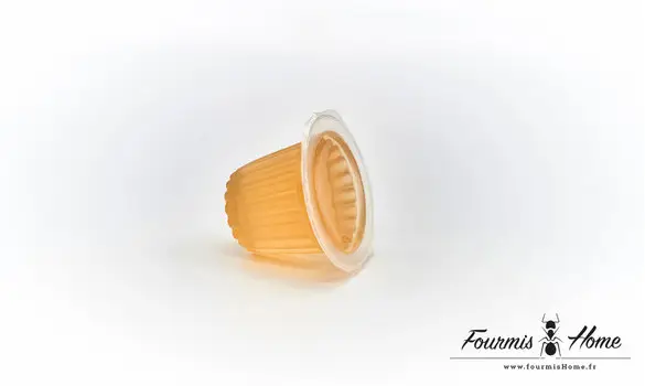 Jelly honey