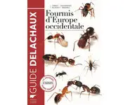 Fourmis d'Europe occidentale