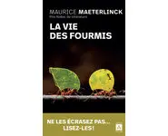 La vie des fourmis