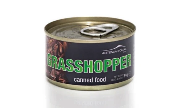 Conserve sauterelles