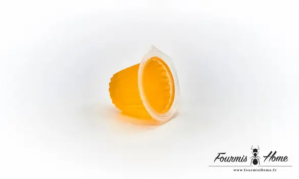 Gelée ORANGE