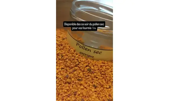 Pollen