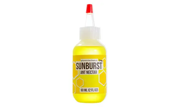 SUNBURST 60ml