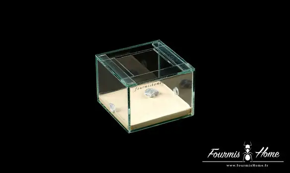 ADC 10x10 verre