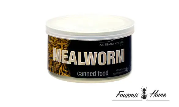 canned mealworms