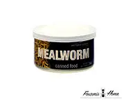 Conserve vers de farine